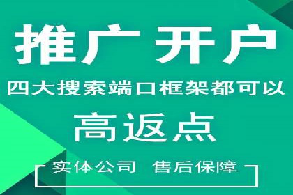 揭秘成功之道：竞价推广公司经典案例分享